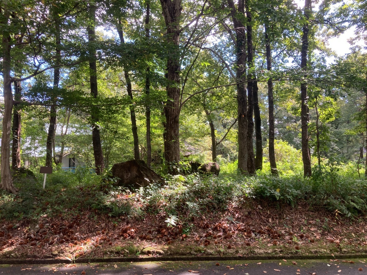 高湯台 土地分譲